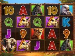 Stampede Gold Slots